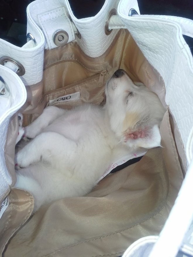 598778_163362590524406_1819051685_n