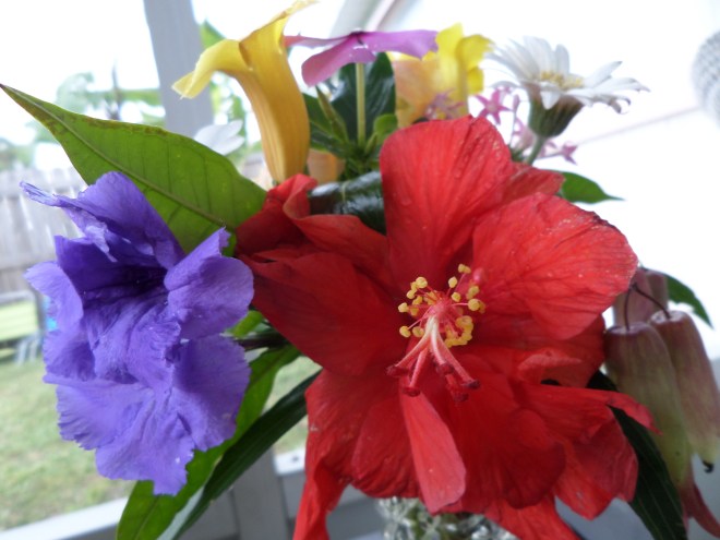 SAMSUNG CAMERA PICTURES