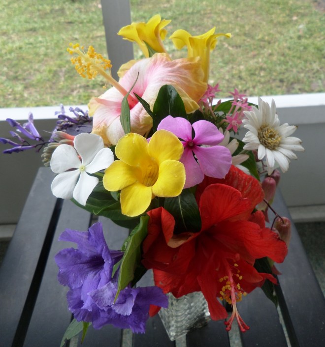 SAMSUNG CAMERA PICTURES