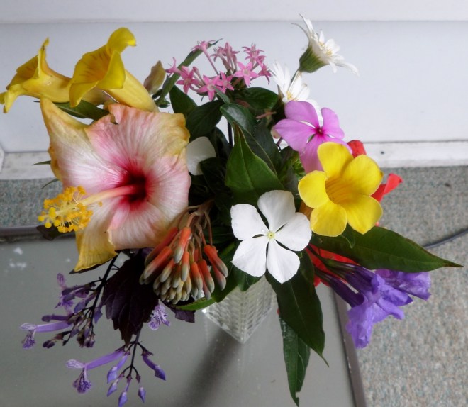 SAMSUNG CAMERA PICTURES