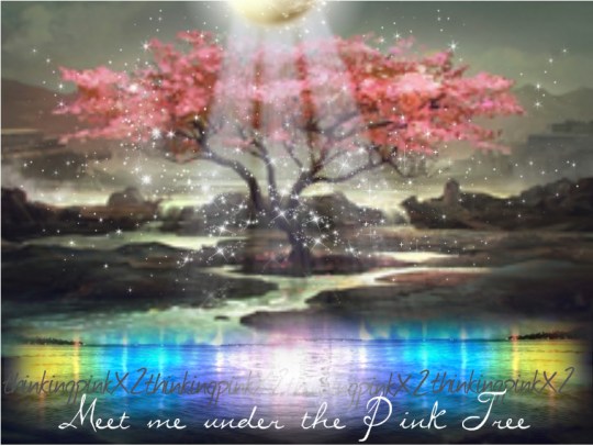 meetmeunderthepinktree