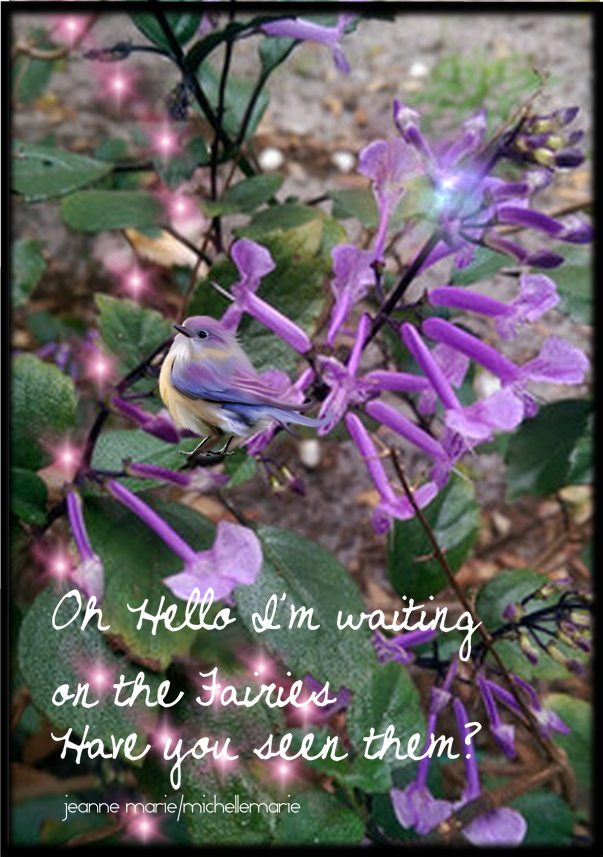 hellowaitingonthefairies