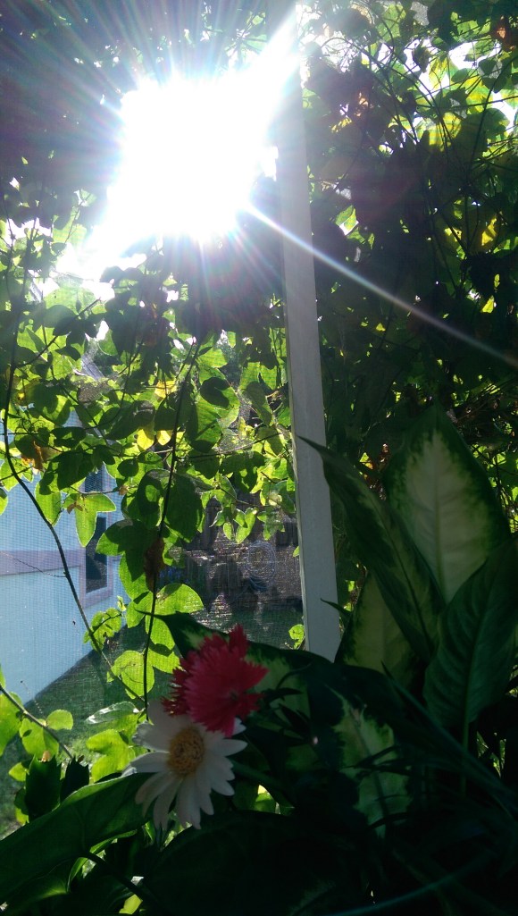 IMAG2691_BURST002_COVER