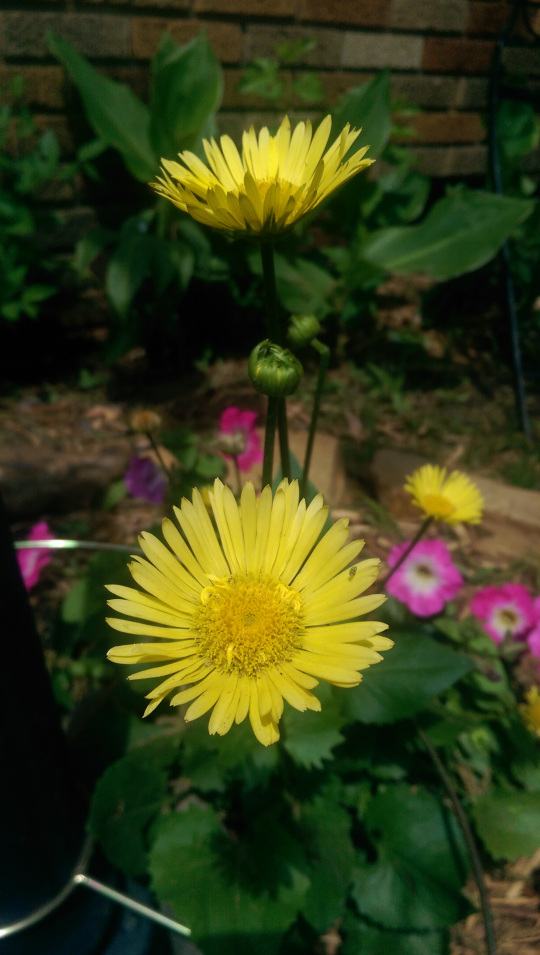 IMAG4955_BURST002_COVER