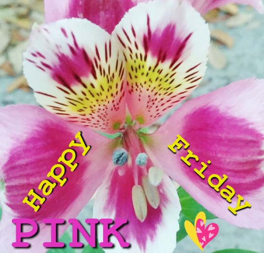 pinkfriday3