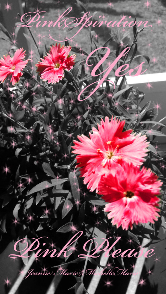 PINKSpiration1