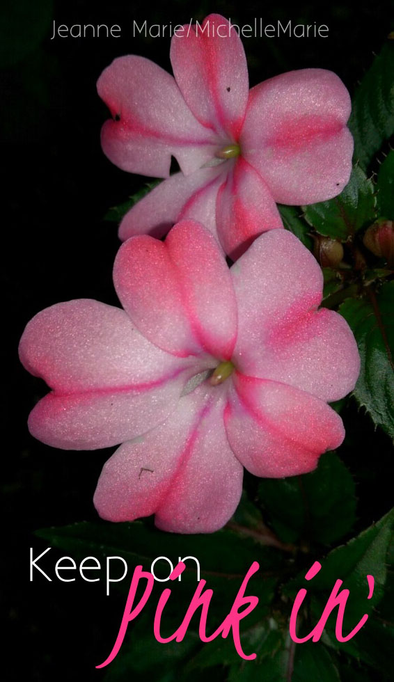 photo by Jeanne Marie/art by MichelleMarie