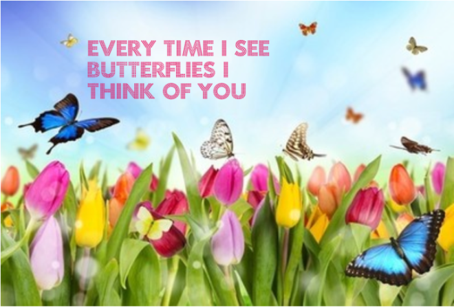 Screen Shot 2014-03-16 at 4.24.45 PM