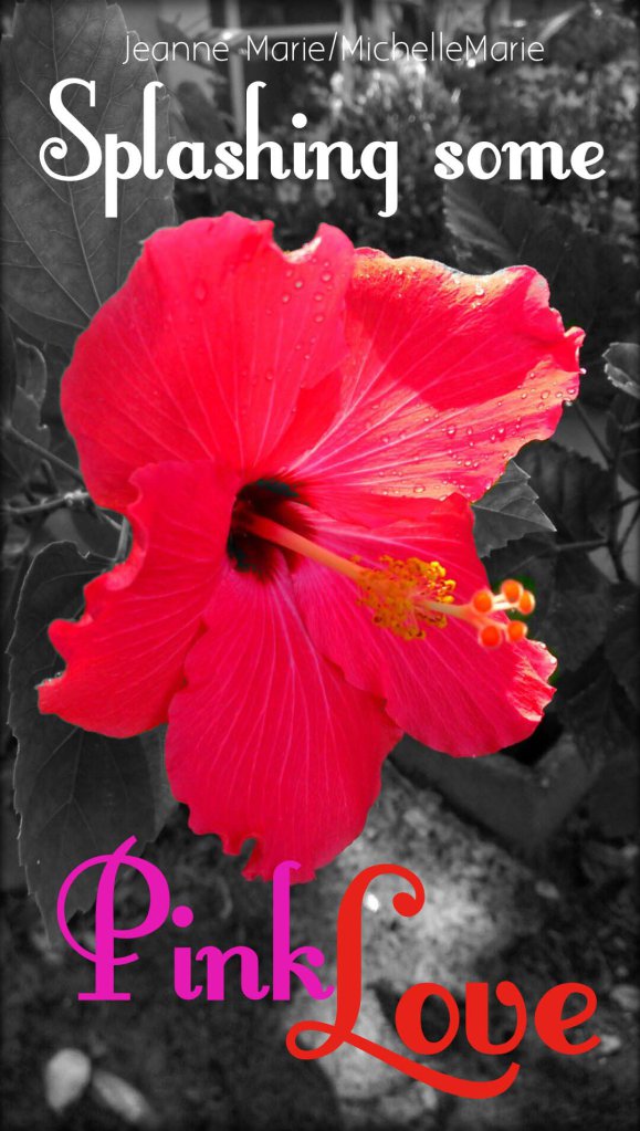 photo by Jeanne Marie/art by MichelleMarie