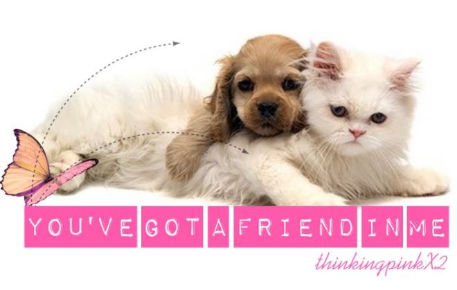 you'vegotafriendinme