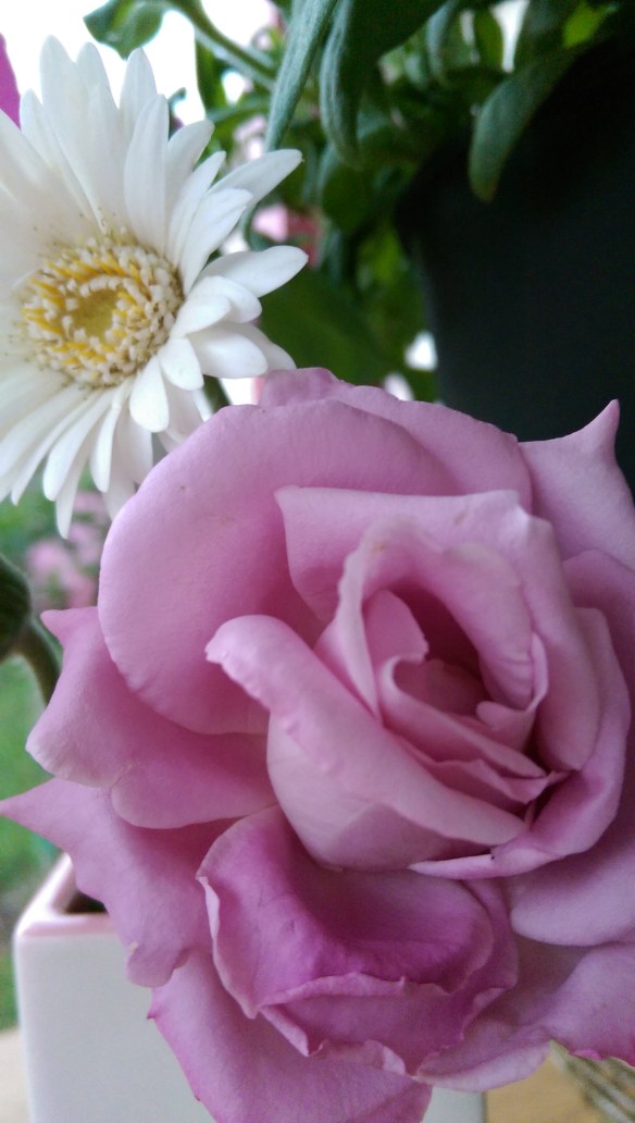 IMAG1280_BURST002_COVER