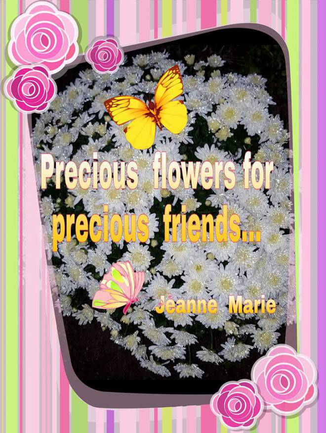 11905401_429195073931085_2148188317837340121_n