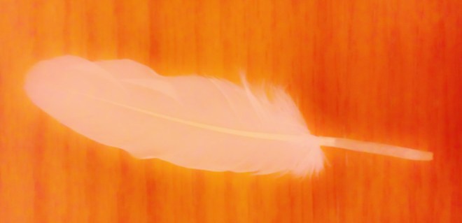 20130901_225305 - Copy (2)