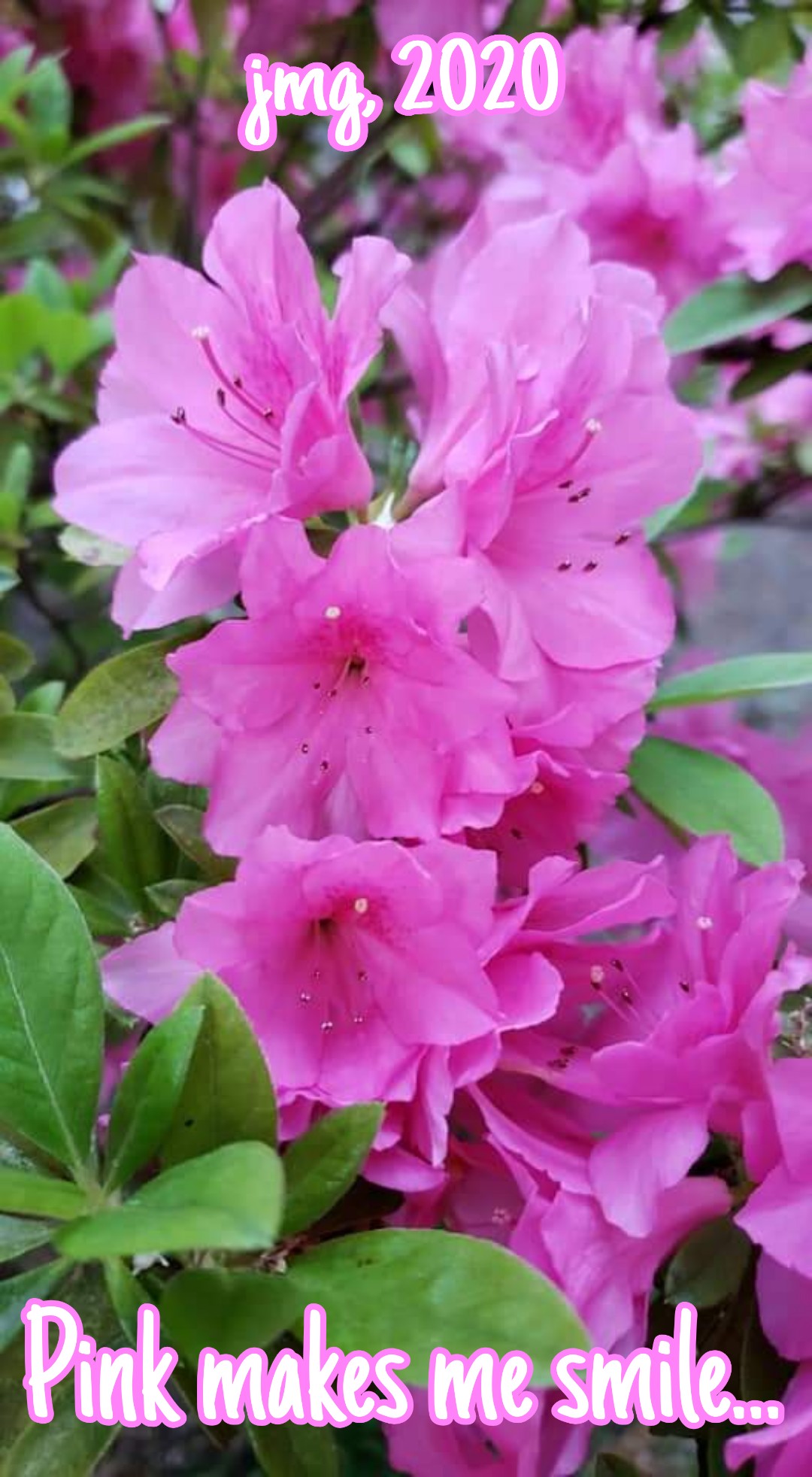 PicsArt_04-25-07.28.13