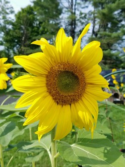 client_part_1472773256094_20160828_155133